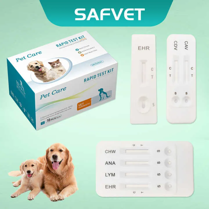اختبار Tick-4/4 طرق Ehr/Bab/Ana/Chw دودة أنبلازما نابية دودة هريليتشيا بابيسيا جيبسوني كومبو Tick-4/4-way test Ehr/Bab/Ana/Chw Anaplasma canis, Herrelictia worm Babesia gibsoni Combo