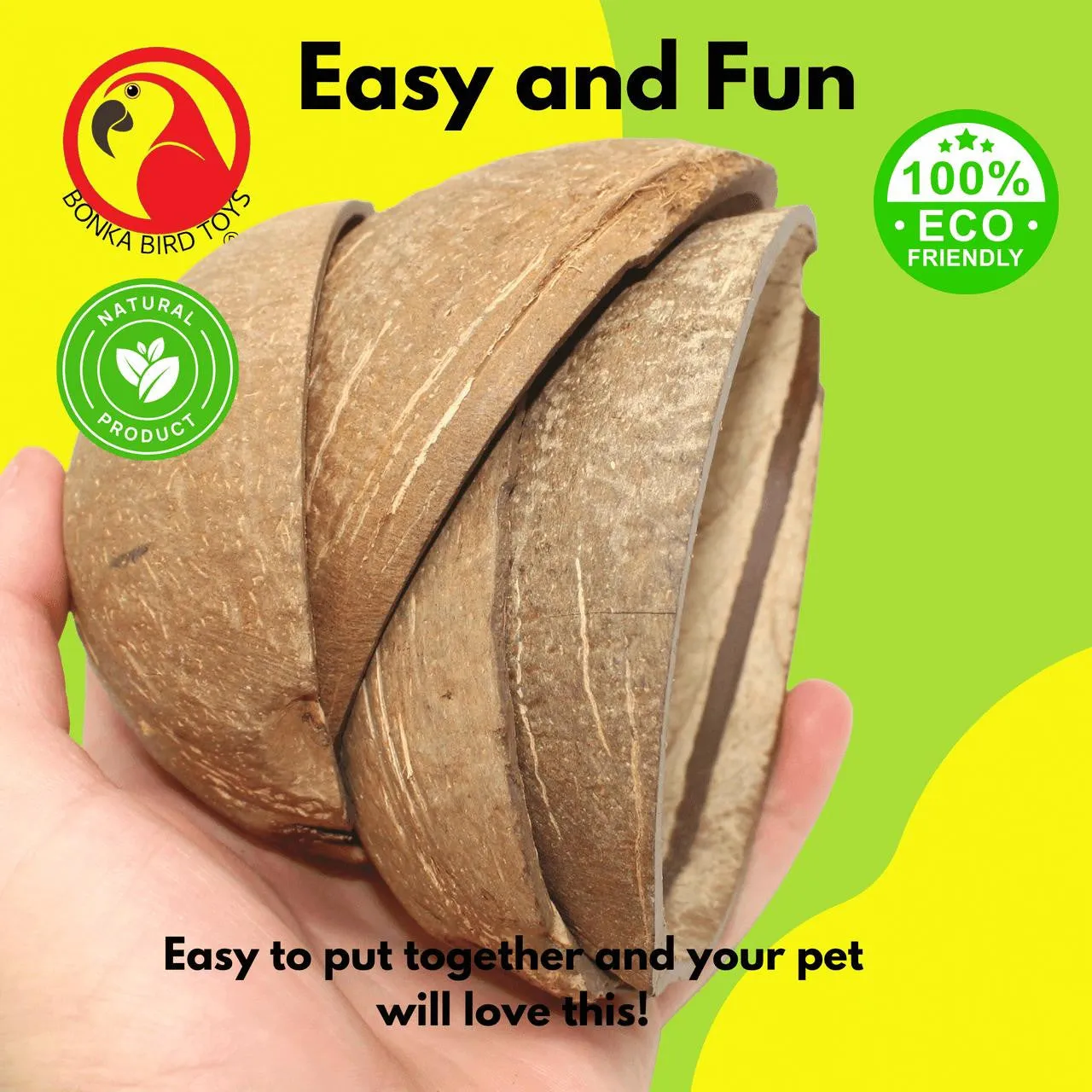 1031 Pk4  Half Shell Coconuts