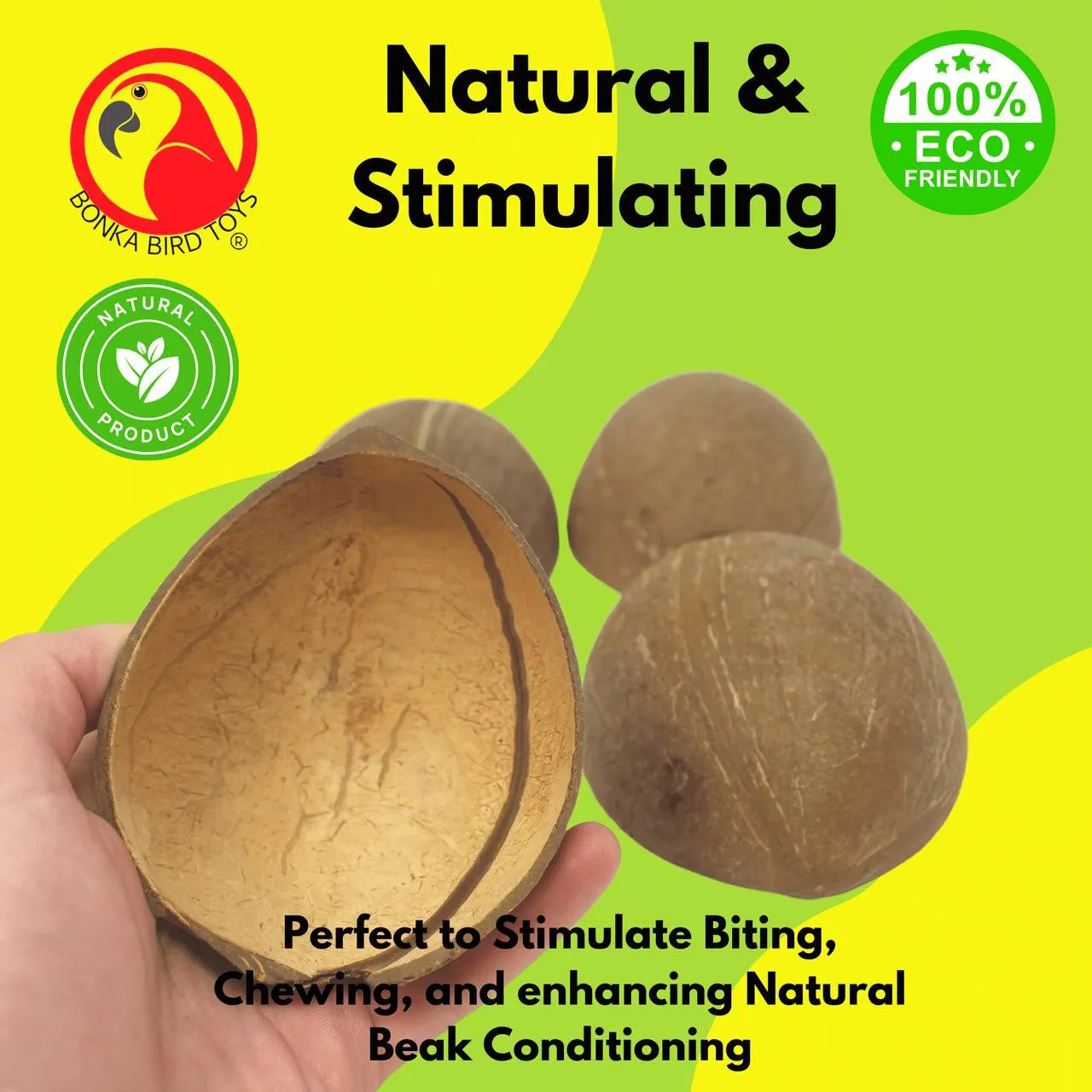 1031 Pk4  Half Shell Coconuts