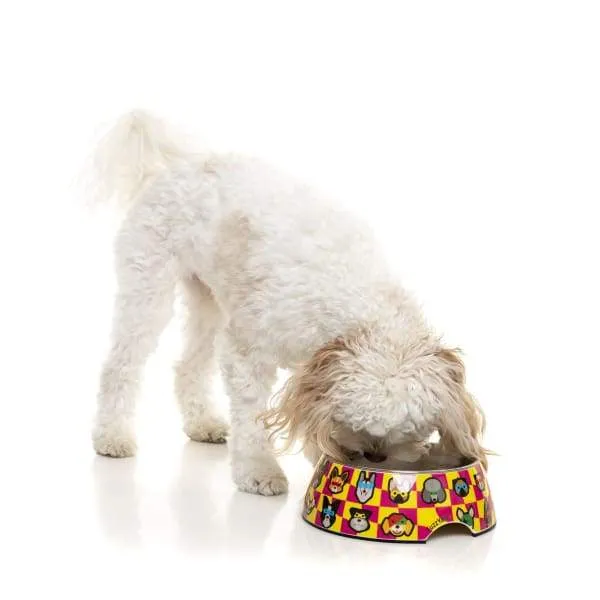 [15% OFF] Fuzzyard Doggoforce Easy Feeder Dog Bowl (3 Sizes)
