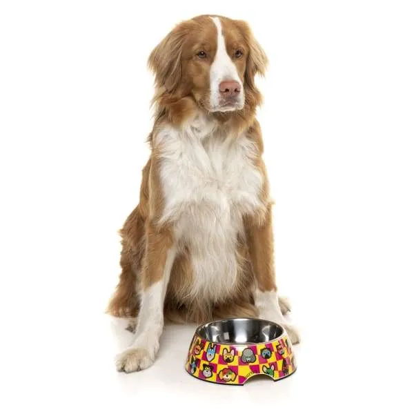 [15% OFF] Fuzzyard Doggoforce Easy Feeder Dog Bowl (3 Sizes)