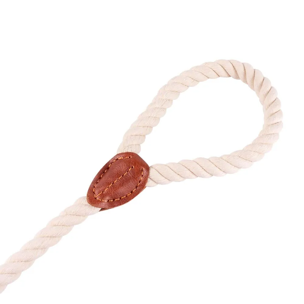 AllPetSolutions Cotton Rope Dog Lead, Cream, 120cm