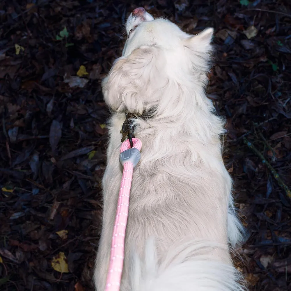 AllPetSolutions Reflective Rope Dog Lead, Blue, 140cm