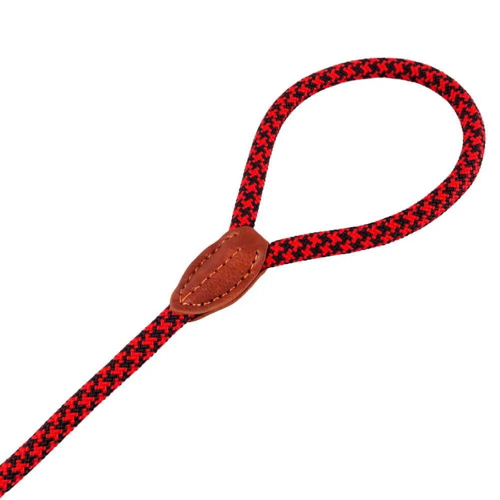 AllPetSolutions Rope Dog Lead, Black/Red, 120cm