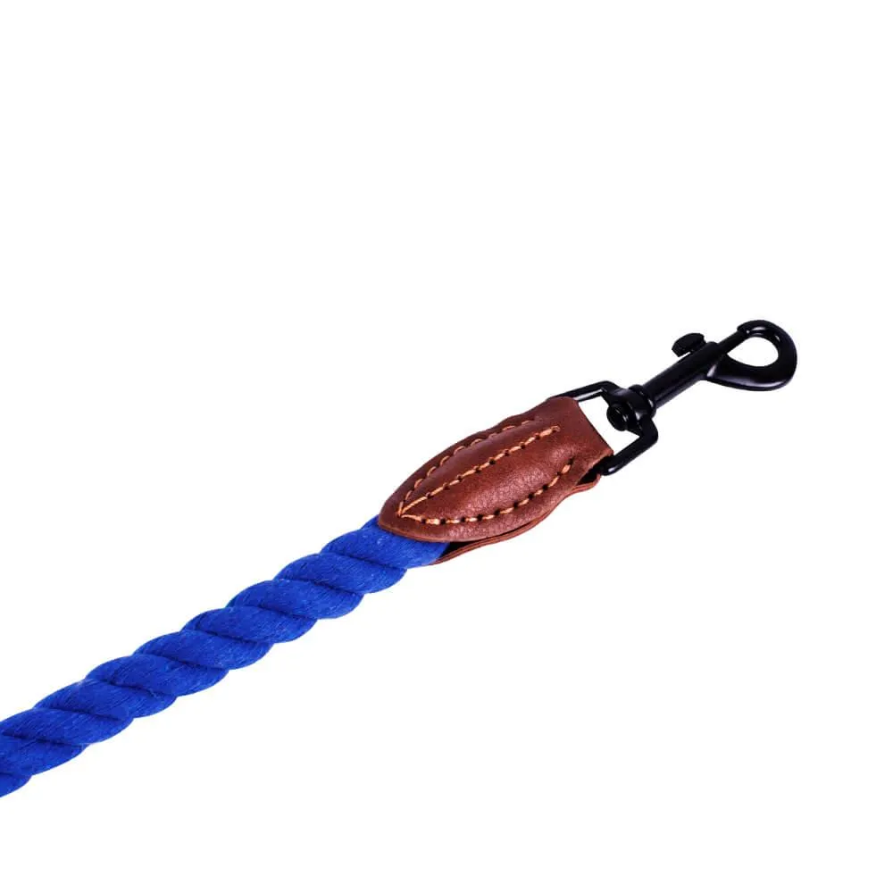 AllPetSolutions Rope Dog Lead, Blue, 120cm