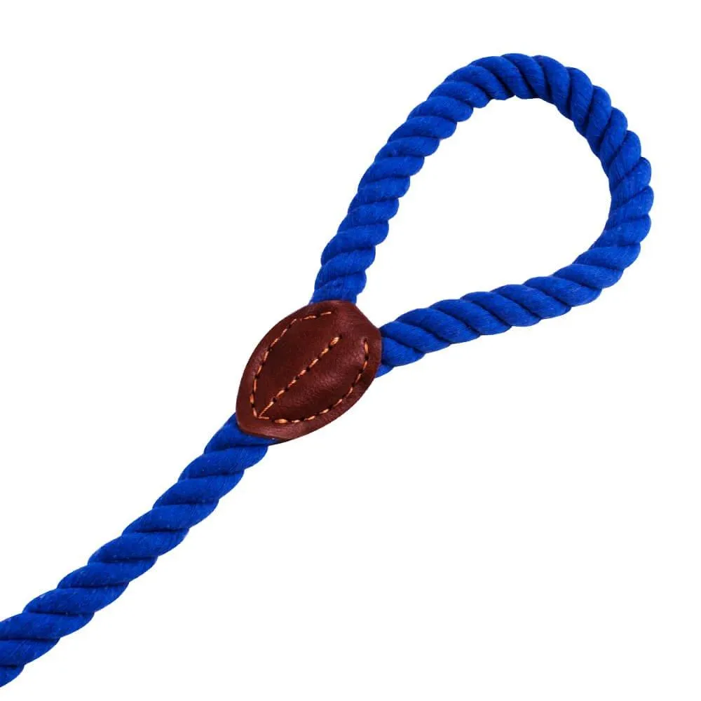 AllPetSolutions Rope Dog Lead, Blue, 120cm