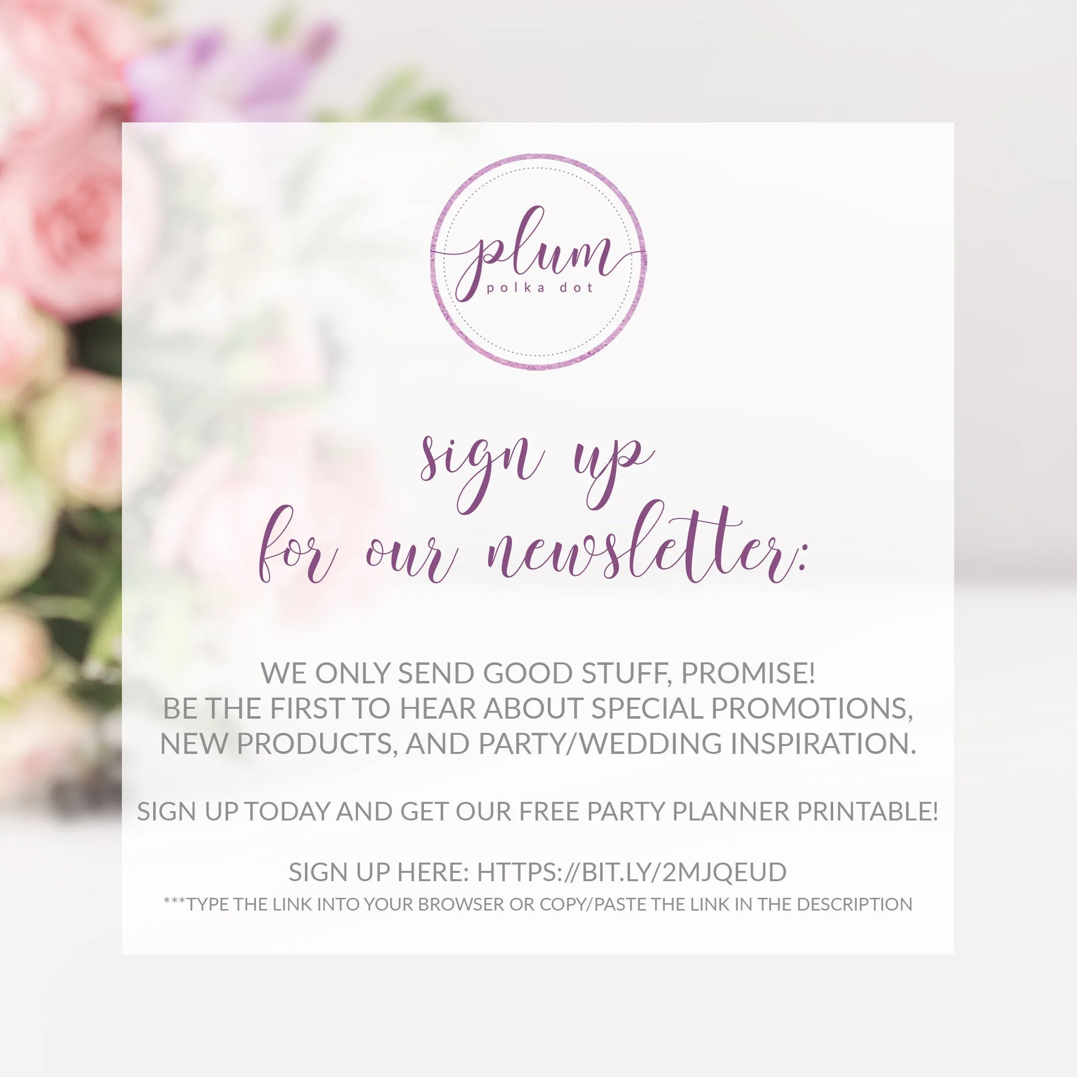 Blush Pink Floral Bachelorette Party Favors, To Have And To Hold Your Hair Back, Spiral Hair Ties - FR100