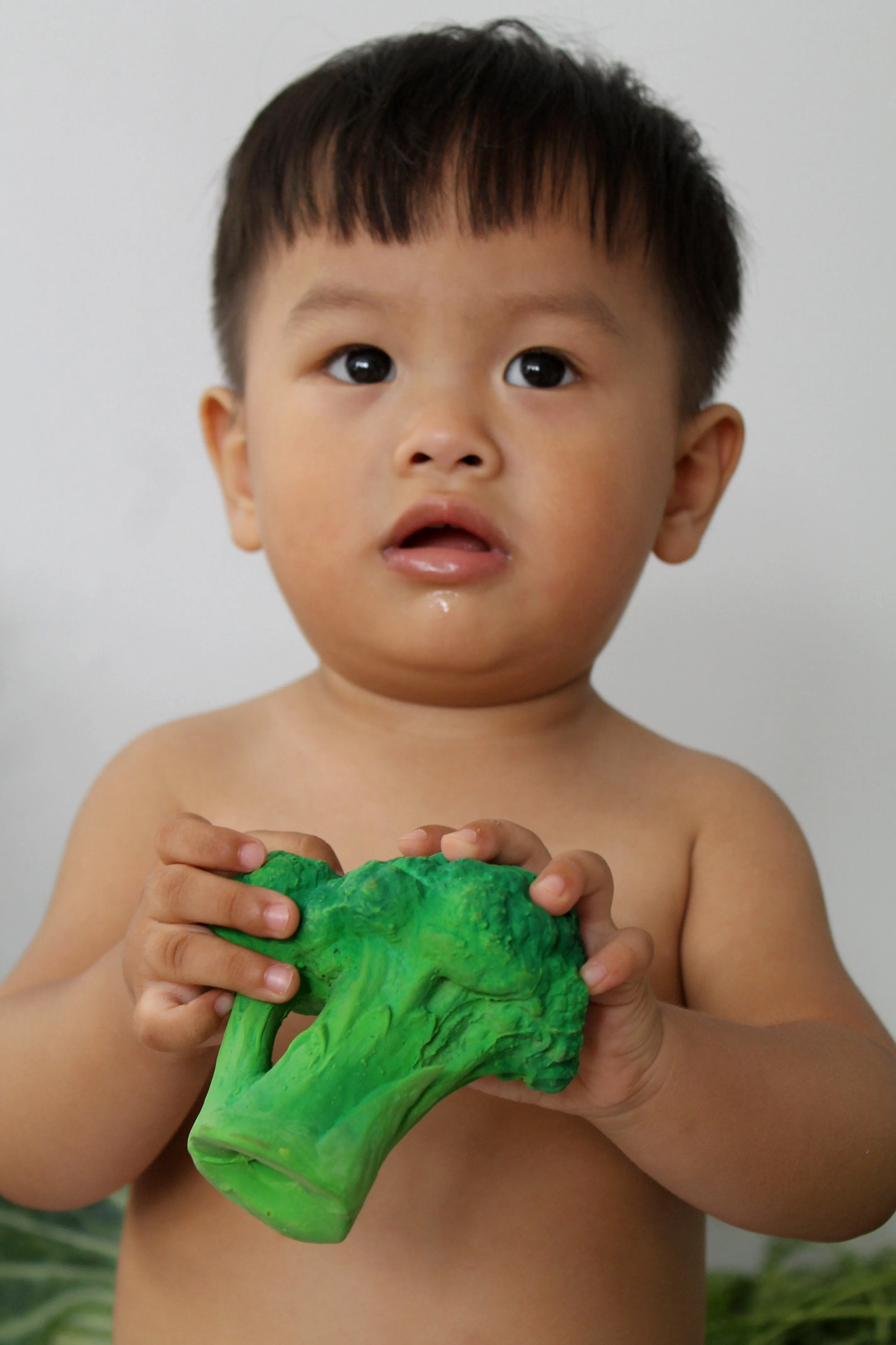 Brucy the Broccoli Teether by Oli & Carol