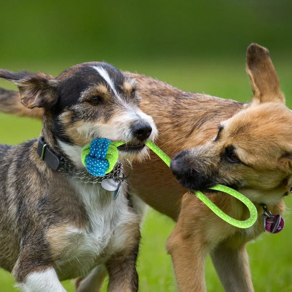Cotton Rope Toys for Pets 7 pcs Set