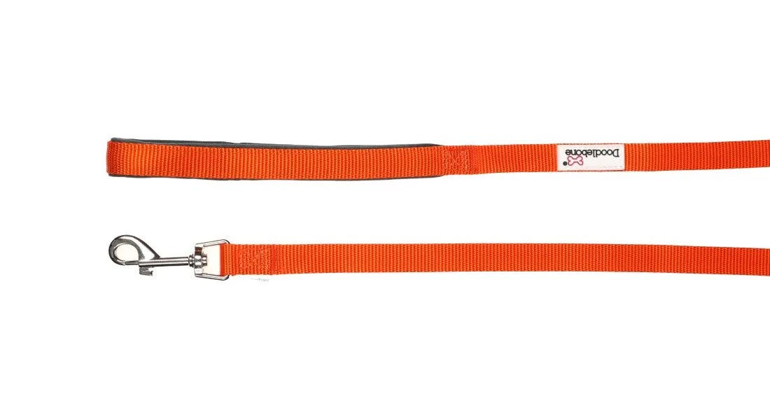 Doodlebone Dog Leads