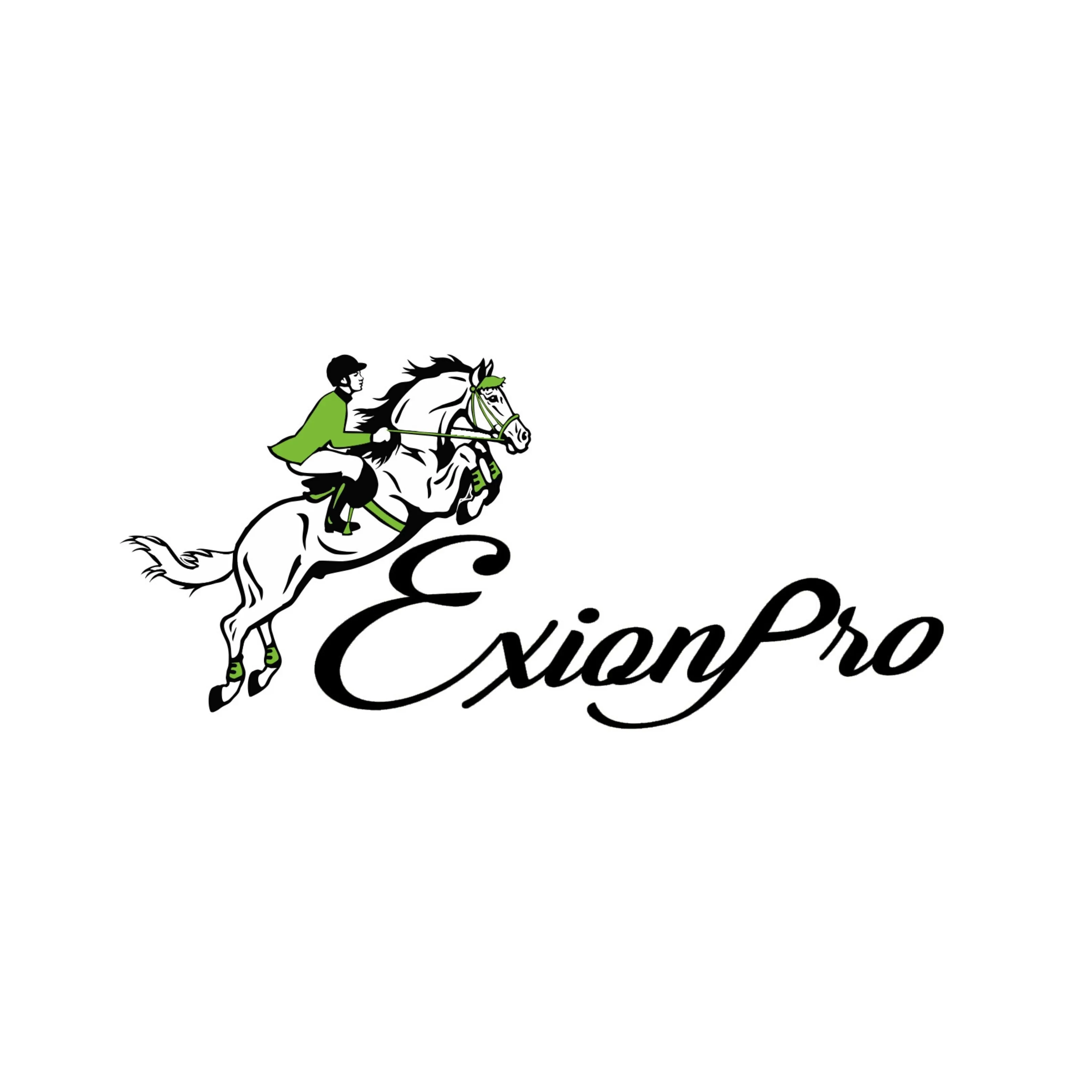 ExionPro Dark Blue Bling Dog Leash