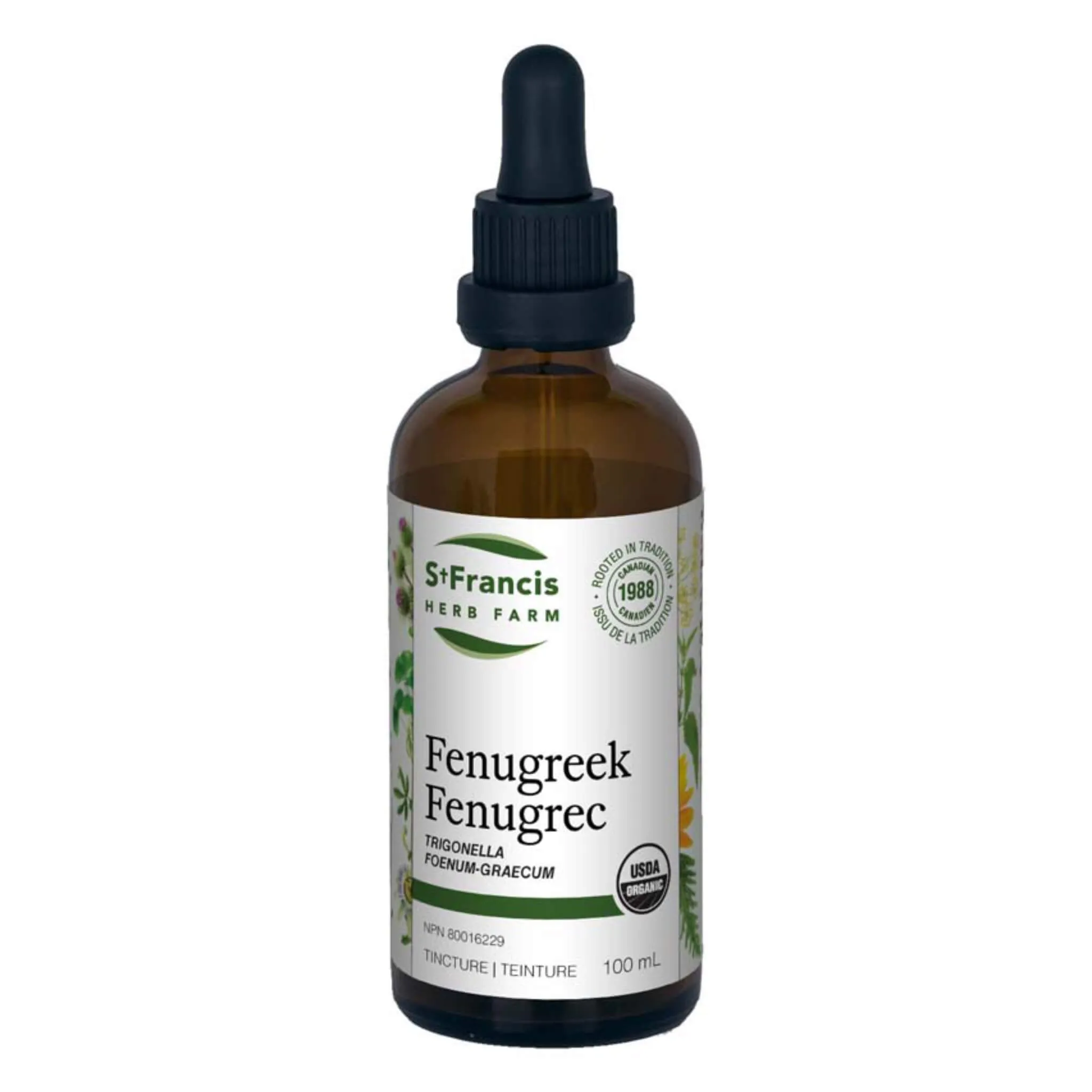 Fenugreek - Trigonella foenum-graecum