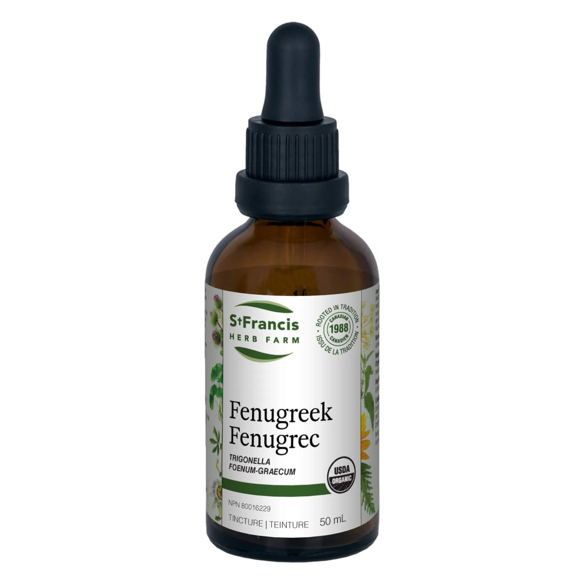 Fenugreek - Trigonella foenum-graecum