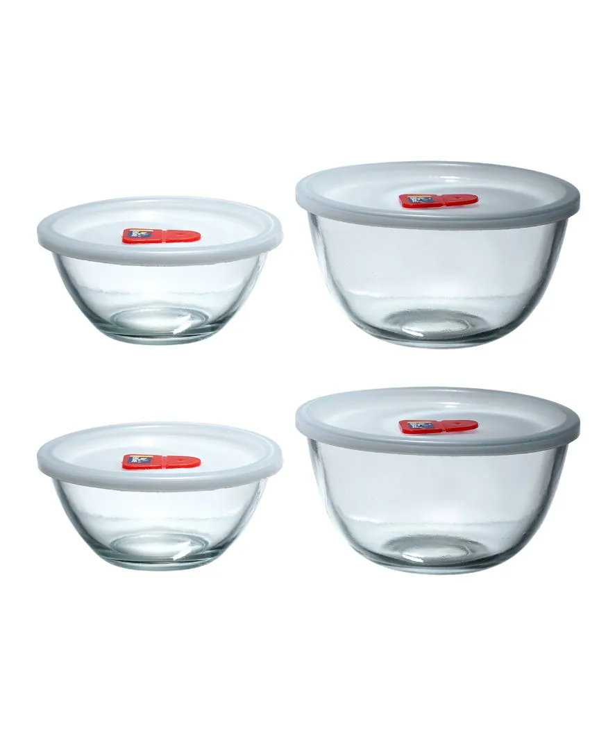 Fimo Glassware Casseroles Set