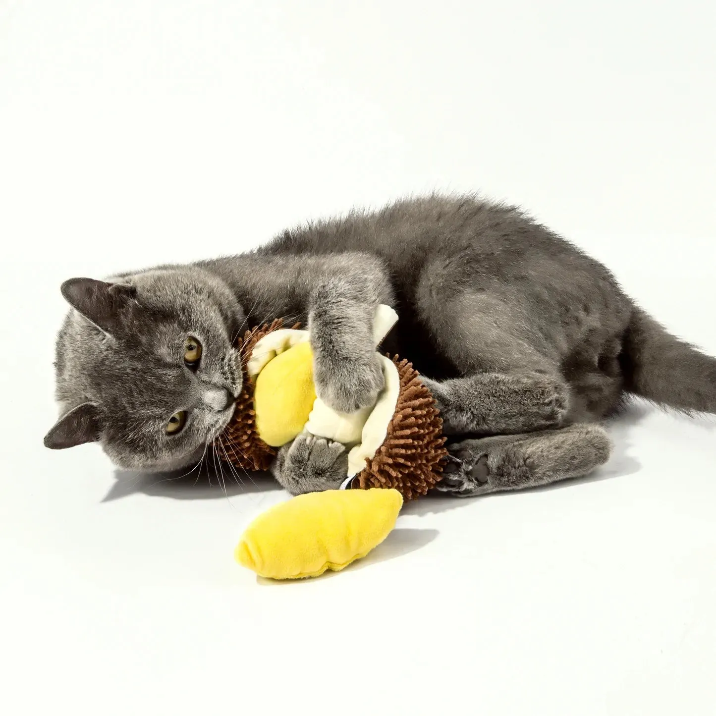 Kashima Chew Dog Toy (Durian)