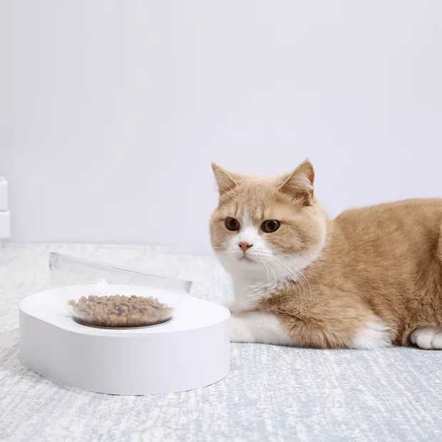 PETKIT |  Fresh Nano - Single