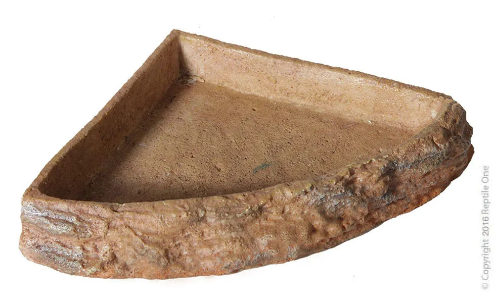 REPTILE CORNER BOWL L