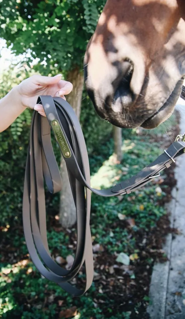 Stallion Lead