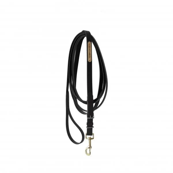Stallion Lead