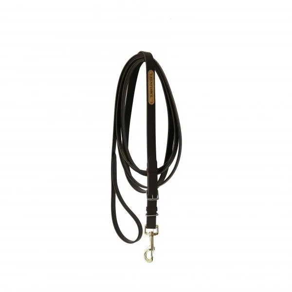 Stallion Lead