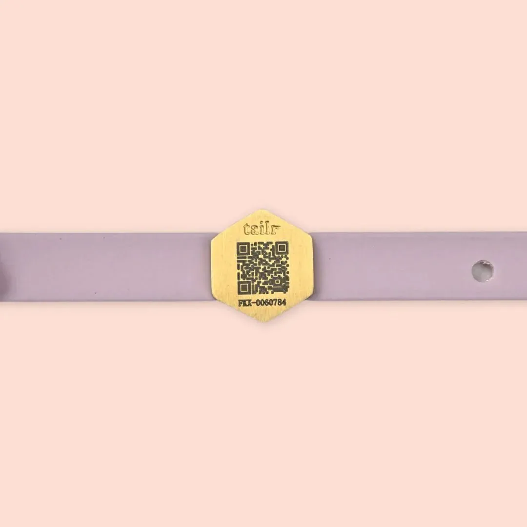 Tailr Slide ID Pet Tag