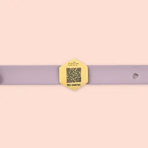 Tailr Slide ID Pet Tag