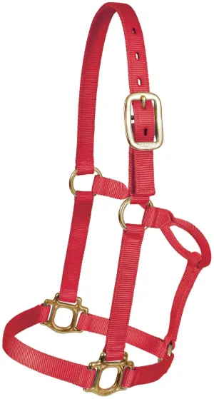 Traditional Nylon Halter, Yearling