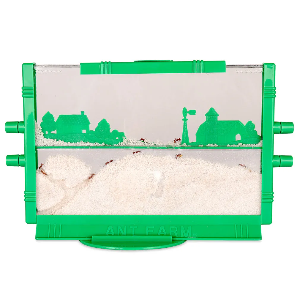 Uncle Milton's Ant Farm