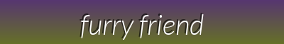 Furry Friends Boutique – Soft Blankets, Trendy Harnesses, Interactive Toys & Healthy Treats